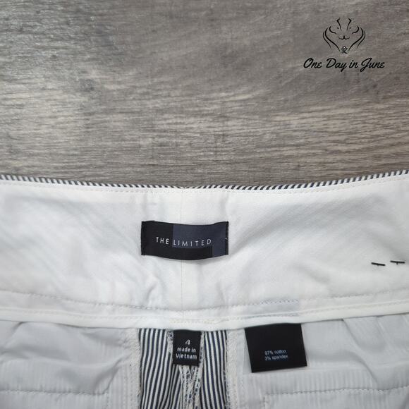 The Limited Striped Flat Front Shorts Size 4 - Picture 2 of 7